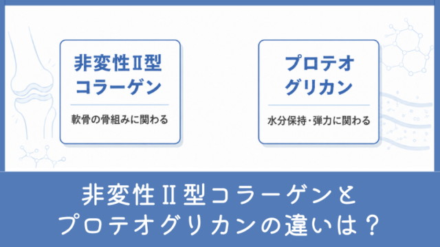 非変性Ⅱ型コラーゲンとプロテオグリカンの違いは？膝サプリの成分を比較