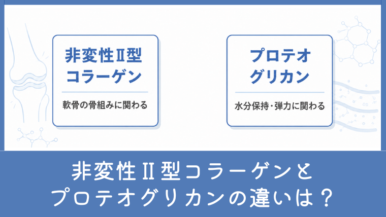 非変性Ⅱ型コラーゲンとプロテオグリカンの違いは？膝サプリの成分を比較